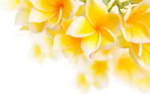 10-001