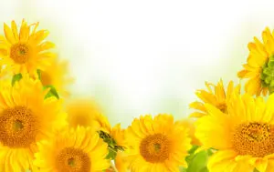 10-006