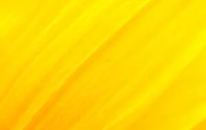 10-007