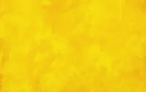 10-009