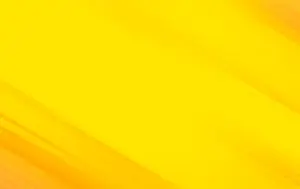 10-011
