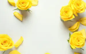 10-015