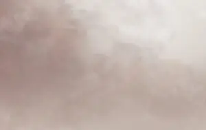 11-007