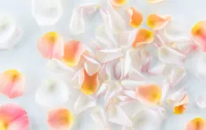 12-023