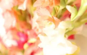 12-037