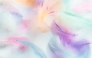 12-039