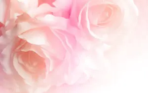 3-009