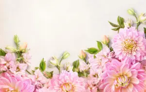 3-011